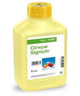 Фунгицид Сигнум в.г., 1 кг 0845 фото