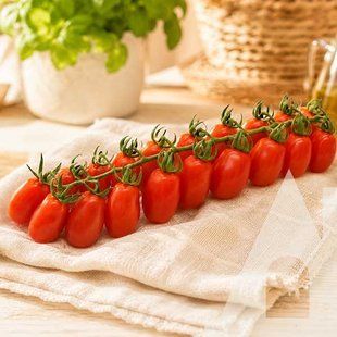 Томат Ромулус F1, 500 шт., Progene Seeds sdn-0035 фото