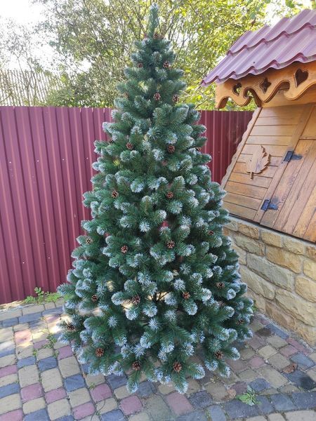 Ялинка Елітна з шишками 1.80 м xt-1485033816 фото