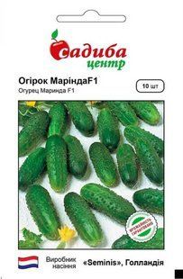 Огірок Марінда F1, 10 шт., СЦ 1552 фото
