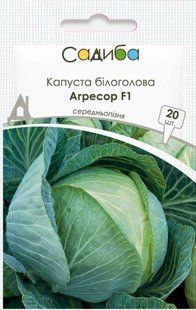 Капуста білоголова Агресор F1, 20 шт., Садиба 1904 фото