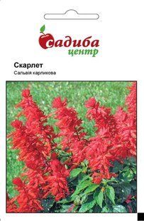 Сальвія Скарлет, 0,1 г, СЦ 000003613 фото
