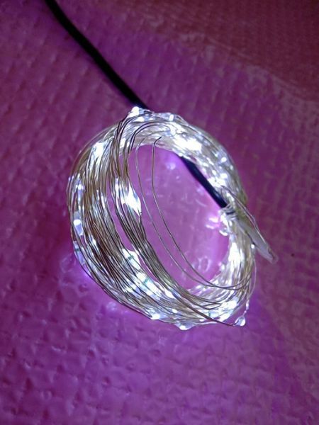 Новорічна світлодіодна гірлянда РОСА 100 LED, 10м белий xt-1498328198 фото