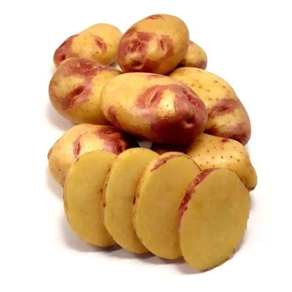 Семенной картофель Пикассо 1-й репродукции (поздний), 1 кг 0154 фото