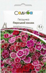 Гвоздика китайська Перський килим, 0,1 г 000021694 фото