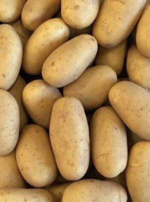 Семенной картофель Прада, 1-й репродукции (ультранания), 1 кг 0360 фото