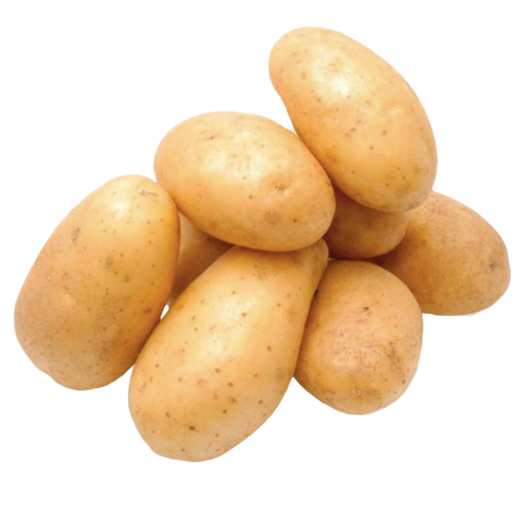 Семенной картофель Прада, 1-й репродукции (ультранания), 1 кг 0360 фото