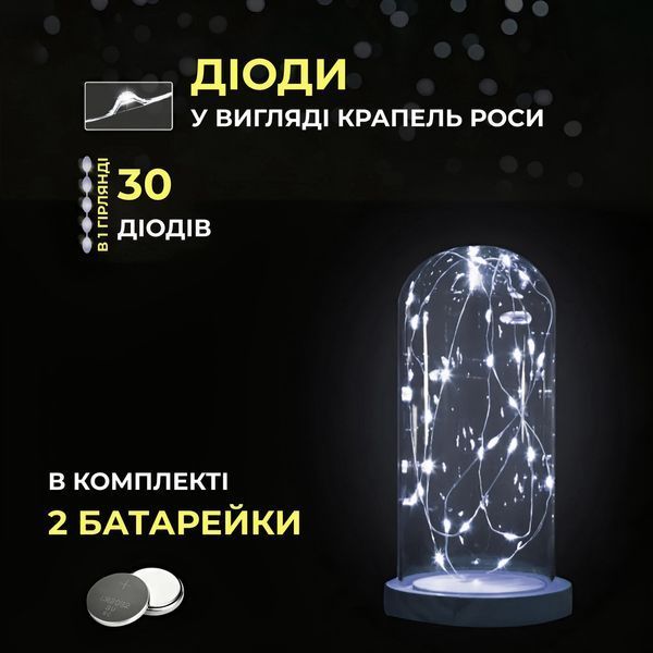 Светодиодная гирлянда Роса 3 метра на батарейках 30 led нить на белом проводе белая lg-30L3MWW фото