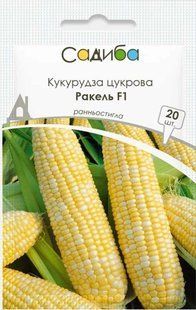 Кукурудза цукрова Ракель F1, 20 шт., Садиба 1664 фото