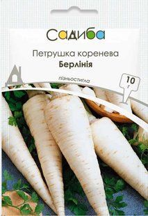 Петрушка коренева Берлінія, 10 г, Садиба 1614 фото