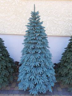 Лита ялинка Швейцарська 1.80 м. блакитна xt-1485034699 фото