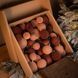 Новорічні ігнрашки набір "Оксамит" 40 шт. Бежево-коричневий. Подарунковий набір ялинкових кульок Кульки на ялинку xt-2666720078 фото 1