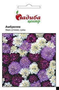 Иберис Амбрелла, 0,5 г, СЦ 1239 фото