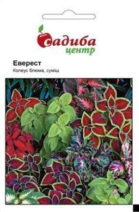 Колеус Блюма Эверест, 0,02 г, СЦ 2039 фото