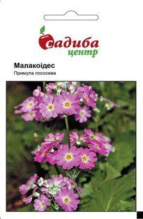 Примула Малакоідес лососева, 0,01 г, СЦ 1739 фото