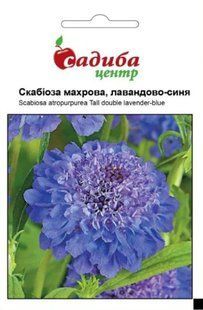 Скабиоза Махровая лавандово-синяя, 0,2 г, СЦ 1489 фото