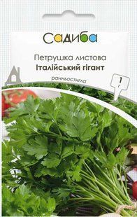 Петрушка листовая Итальянский гигант, 1 г, Садиба 1366 фото