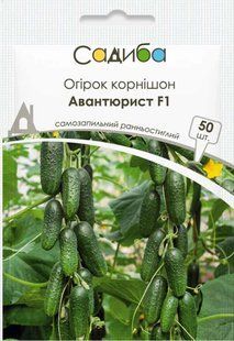 Огірок Авантюрист F1, 50 шт., Садиба 1318 фото