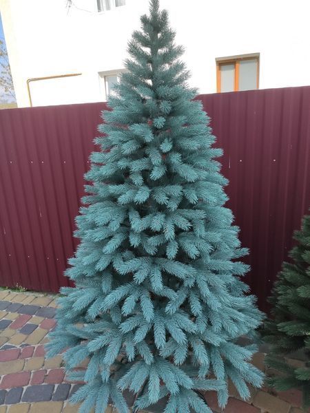 Лита ялинка Буковельська 1.80 м. блакитна xt-1485033713 фото