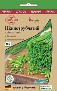 Цибуля шніт Ніжнотрубчатий, 10 г, Традиція 1869 фото