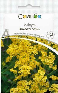 Алисум Золотая осень, 0,2 г 1227 фото