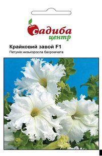 Петуния Краечный завой F1, 10 гран., СЦ 1478 фото