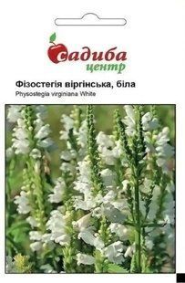 Фізостегія Віргінська біла, 0,1 г, СЦ 1378 фото