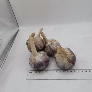 Часник озимий Дюшес, головки 50&ndash;60 мм, 1 кг CHESNOK-DUSHES-50 фото