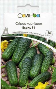 Огірок Еколь F1, 10 шт., Садиба 1430 фото