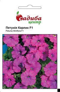 Петунія Карлик фіолетова F1, 10 гран., СЦ 1730 фото