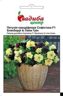 Петунія Софістика суміш Блекбері і Лайм грін F1, 5 гран., СЦ 1980 фото