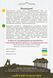 Кабачок Белоплодный, 10 г, Садиба 1532 фото 2