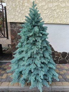 Лита ялинка Ковалівська 1.50 м. блакитна xt-1942558565 фото