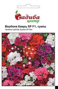 Вербена Кварц XP суміш F1, 10 шт., СЦ 1984 фото