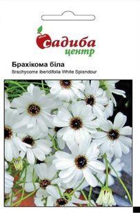 Брахікома біла, 0,1 г, СЦ 000007106 фото