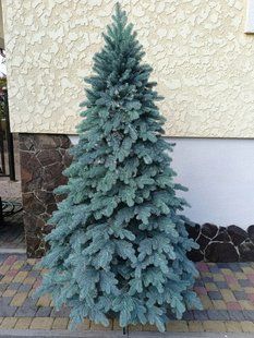 Лита ялинка Ковалівська 3.00 м. блакитна xt-2627783209 фото