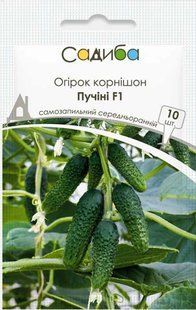 Огірок Пучіні F1, 10 шт., Садиба 1436 фото
