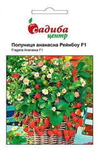 Суниця ананасна Рейнбоу F1, 10 шт., СЦ 1886 фото